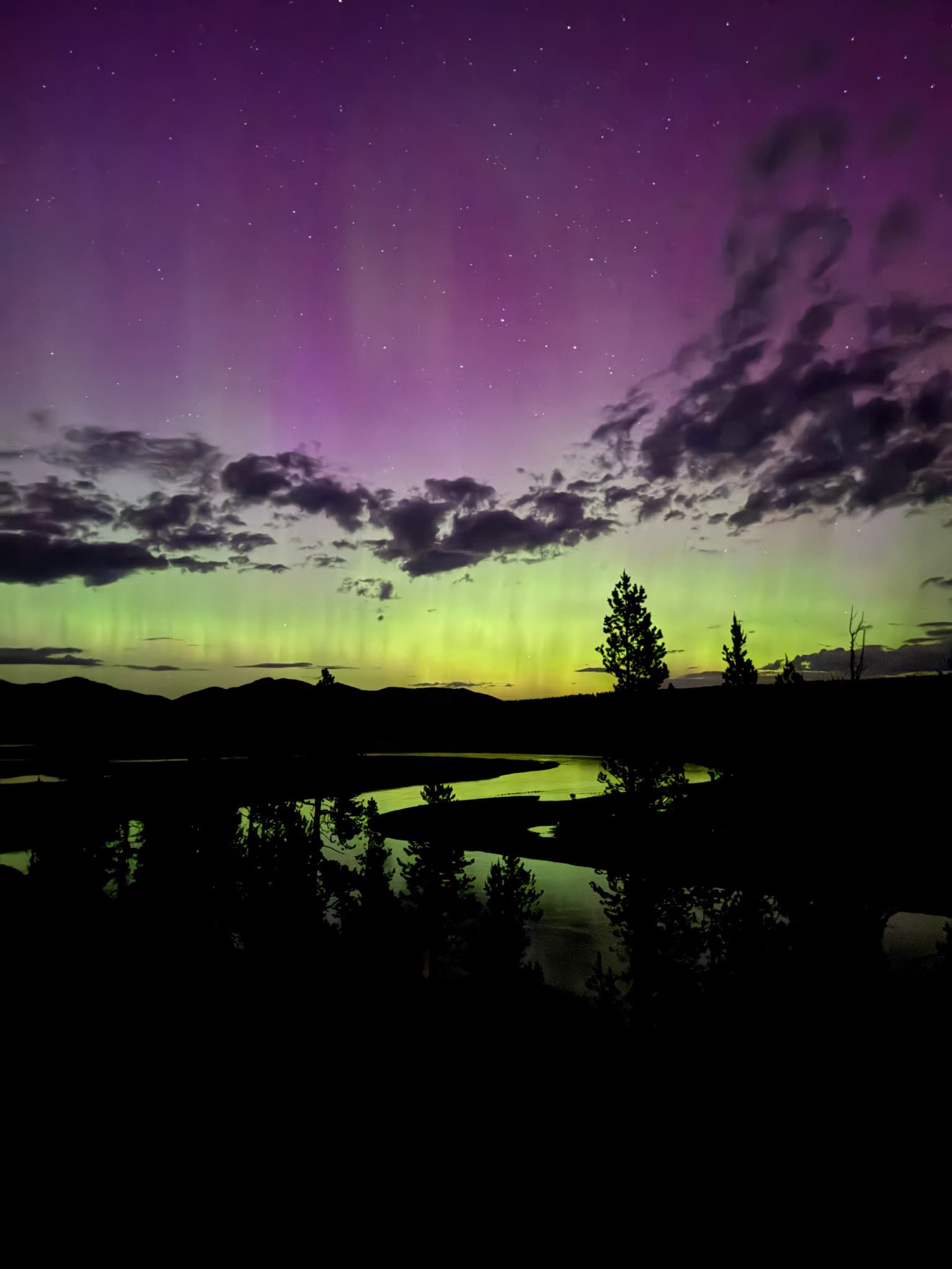 Northern lights photographed by Misty in Yellowstone National Park
