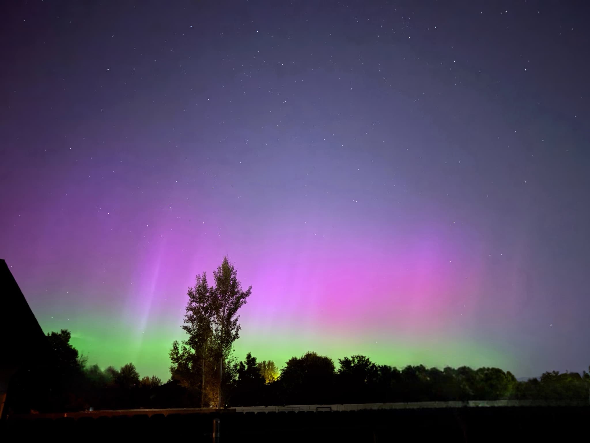 Northern lights photographed by Nicole in Meridian