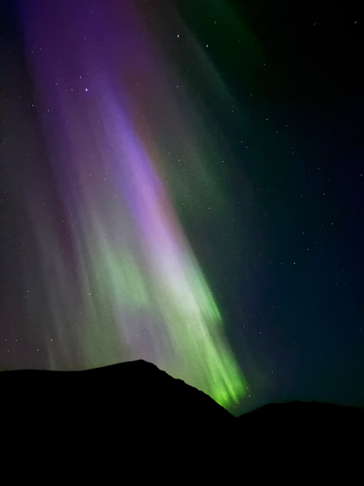 Northern lights photographed by Maria in Þingeyri
