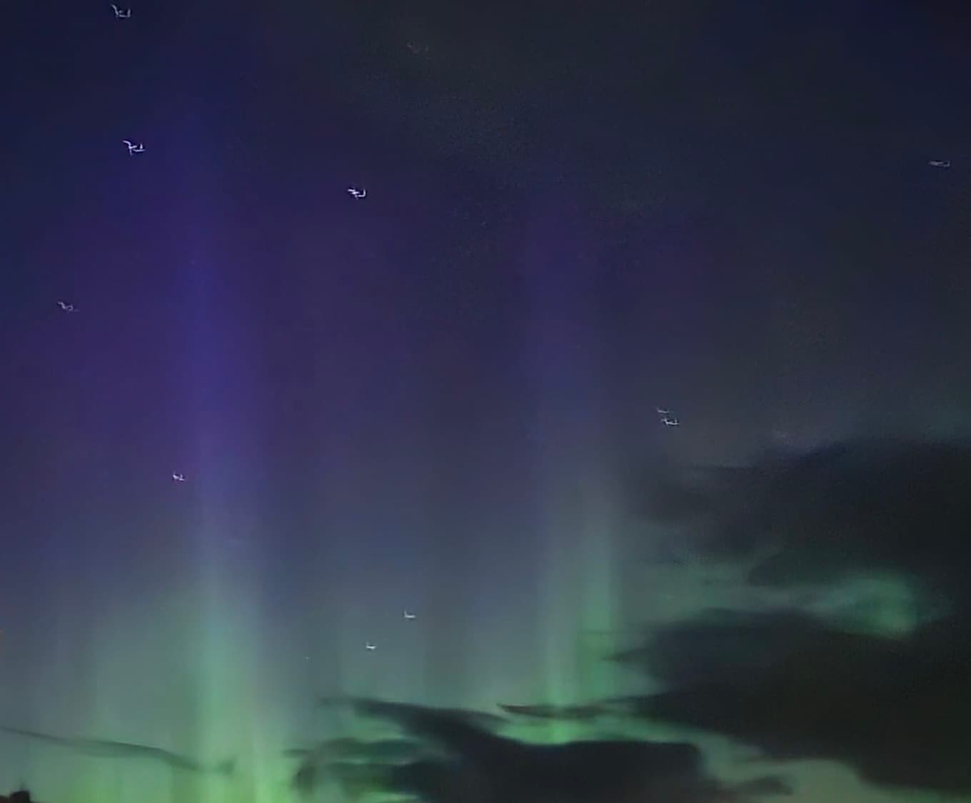 Northern lights photographed by Sophia in Beitostølen