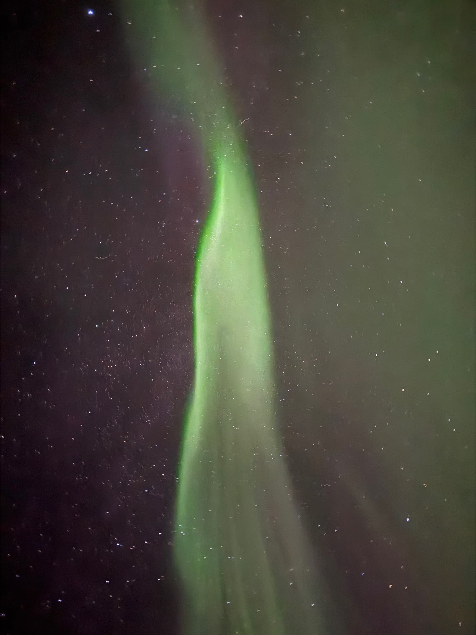Northern lights photographed by Aurora in Staður