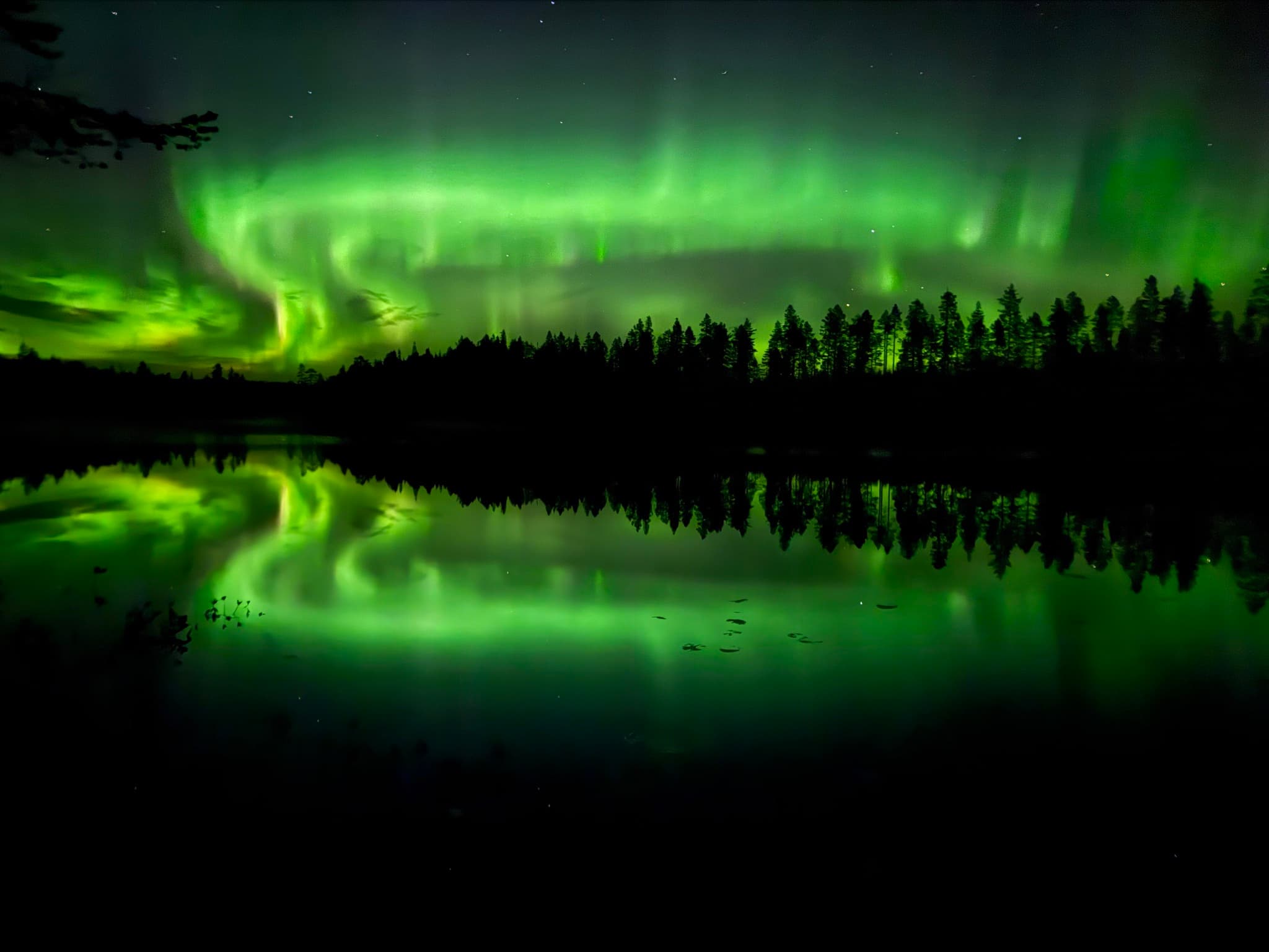 Northern lights photographed by Anah byla in Blattnicksele