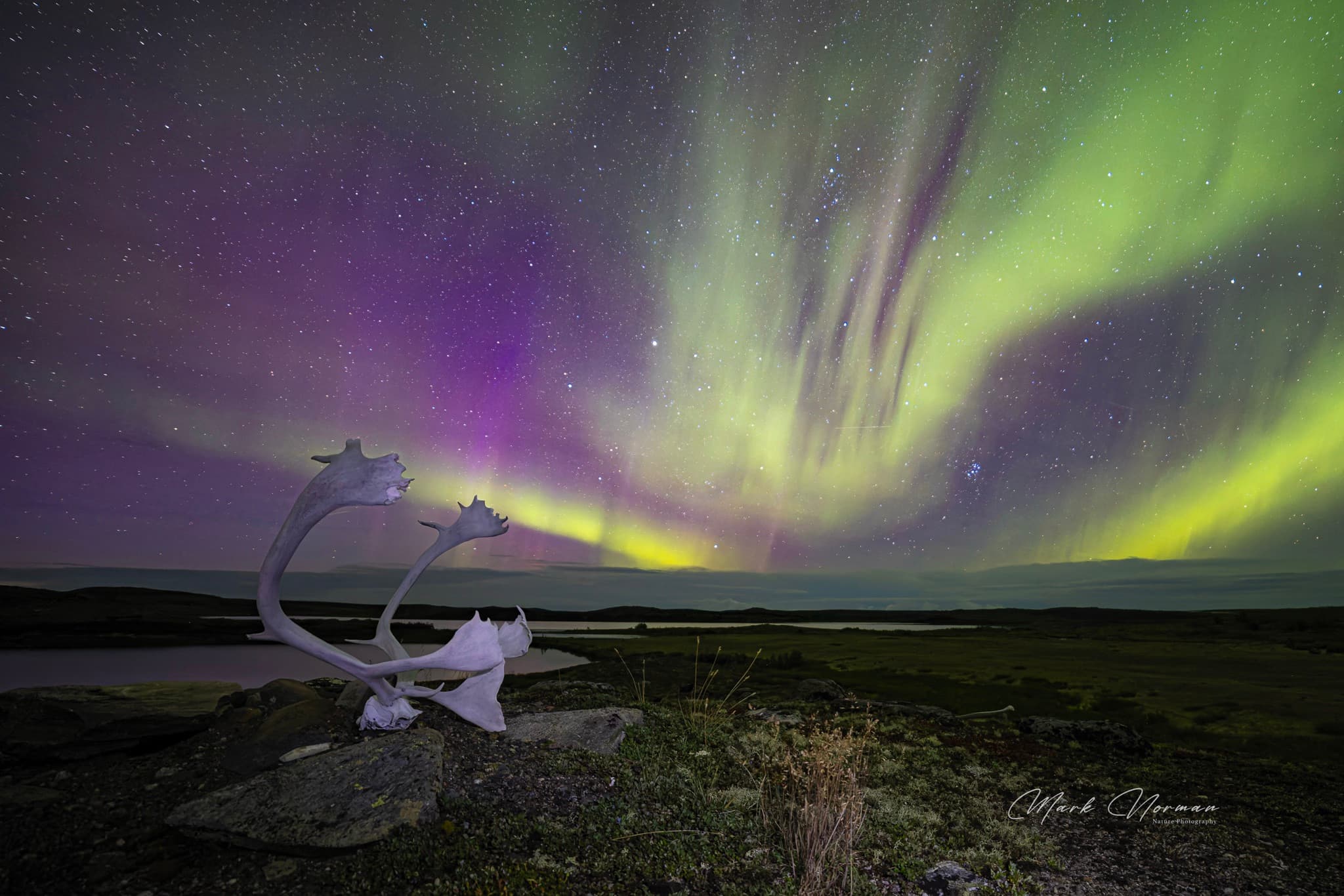 Northern lights photographed by @marklnorman in Kuujuaq, Québec