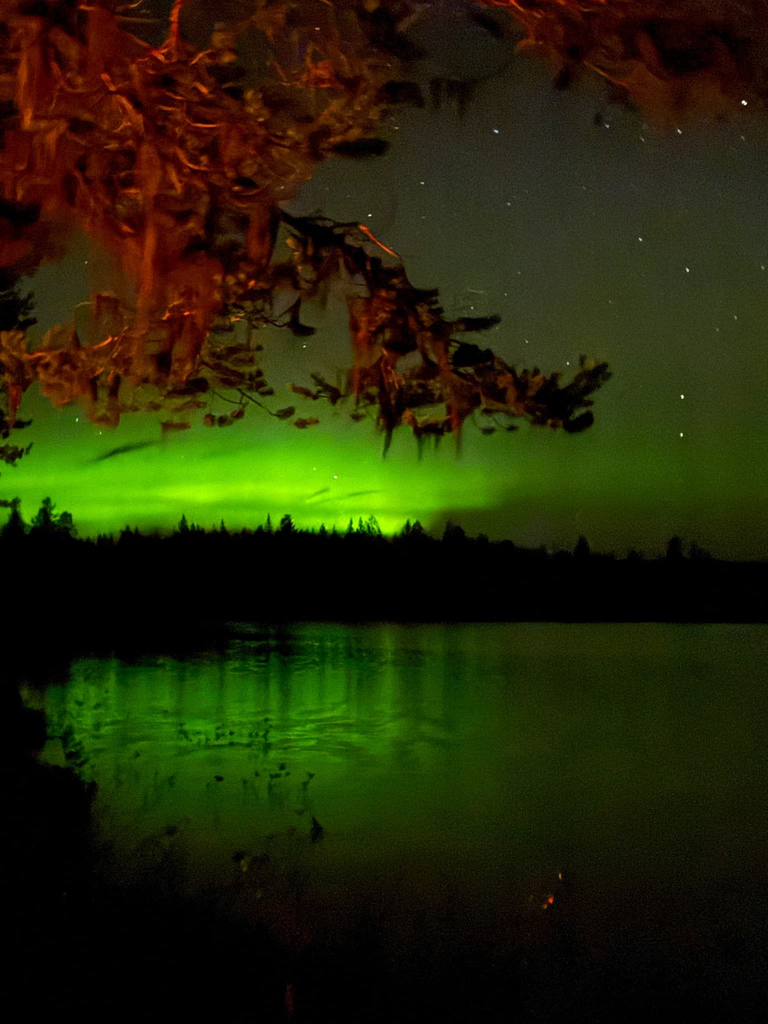 Northern lights photographed by Anah in Blattnicksele