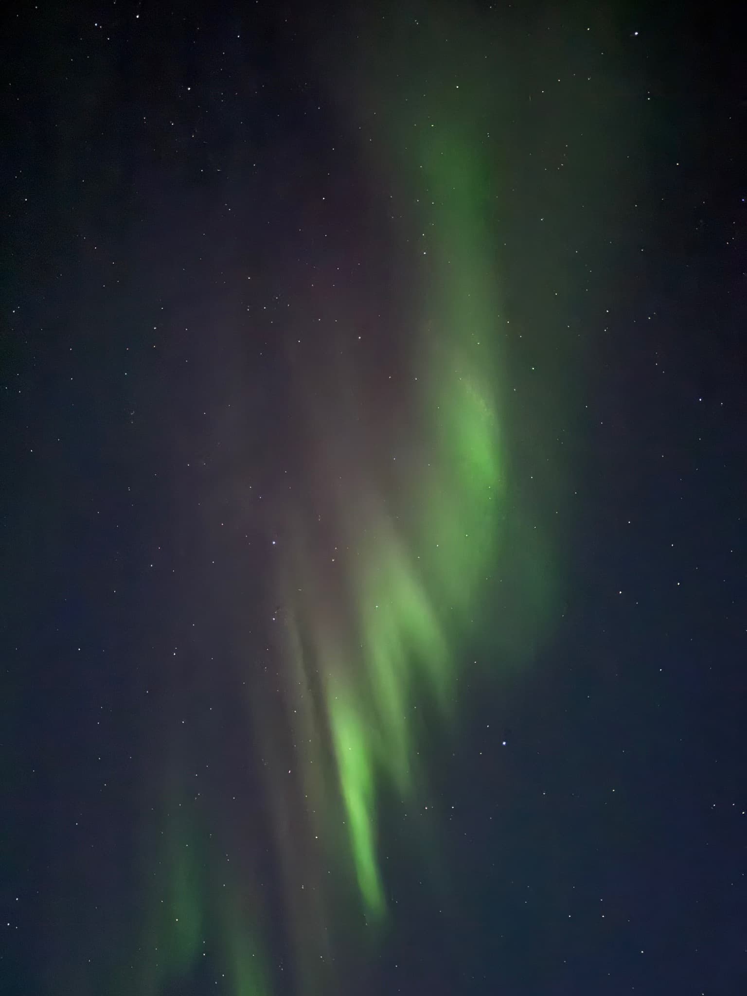 Northern lights photographed by Tobi in Hansnes