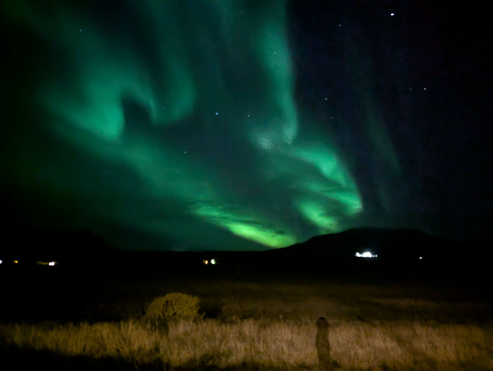 Northern lights photographed by Elena in Skagafjörður